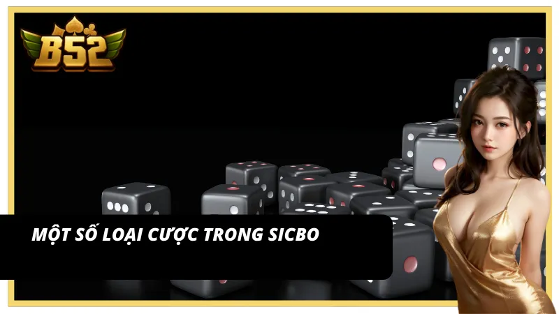 Các hình thức cược trong Sicbo big win